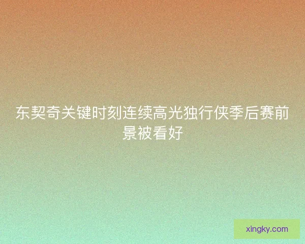东契奇关键时刻连续高光独行侠季后赛前景被看好